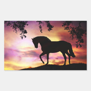 Zwarte Stallion in de Sunset Stickers