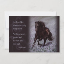 Zwarte Stallion in een droomgebied