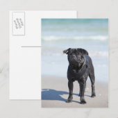 Zwarte stekker op het strand briefkaart (Voorkant / Achterkant)