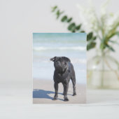 Zwarte stekker op het strand briefkaart (Staand voorkant)