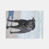 Zwarte stekker op het strand fleece deken (Voorkant (Horizontaal))