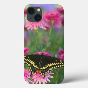 Zwarte Swallowtail Butterfly op donkerroze ventila iPhone 13 Hoesje