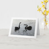 Zwarte-swans-groet (brede rand) kaart (Gele Bloem)