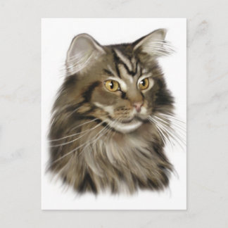 Zwarte tablet Maine Coon Cat Briefkaart