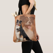 Zwarte tricolor Australian Shepherd - Aussie Draagtas (Dichtbij)