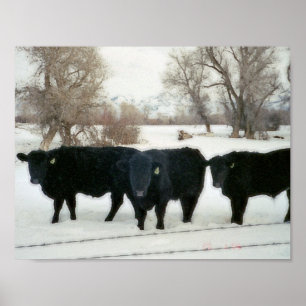 Zwarte veestapel in sneeuw poster