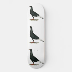 Zwarte vliegduif skateboard