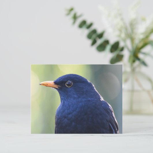 Zwarte vogel briefkaart (Staand voorkant)