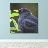 Zwarte vogel canvas afdruk (Insitu (Houten vloer))