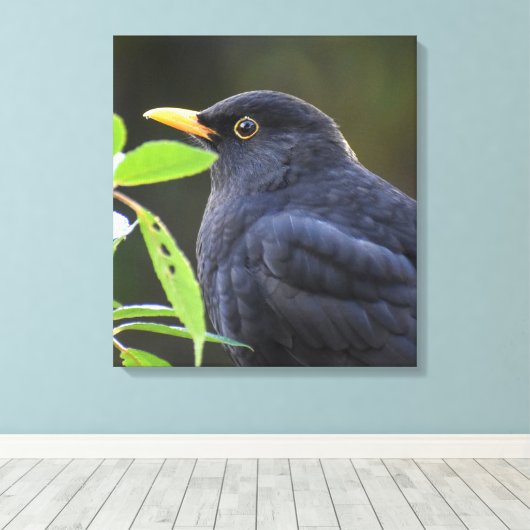 Zwarte vogel canvas afdruk (Insitu (Houten vloer))