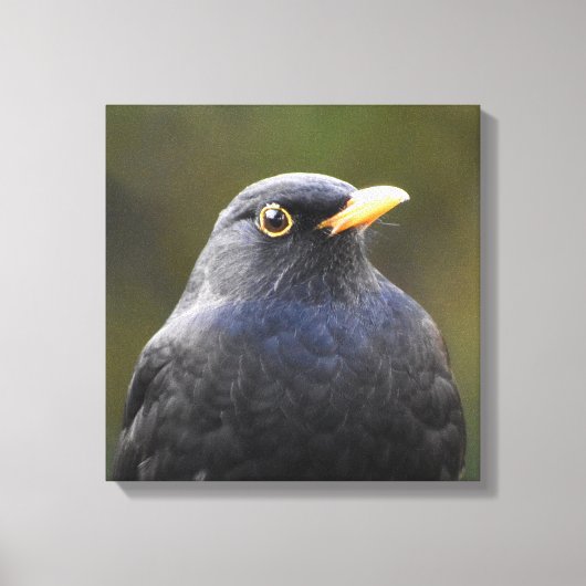 Zwarte vogel canvas afdruk (Voorkant)