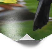 Zwarte vogel foto afdruk (Hoek)