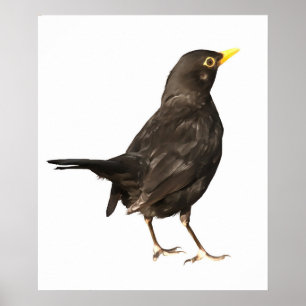Zwarte vogel, geïsoleerd op witte acrylverf poster