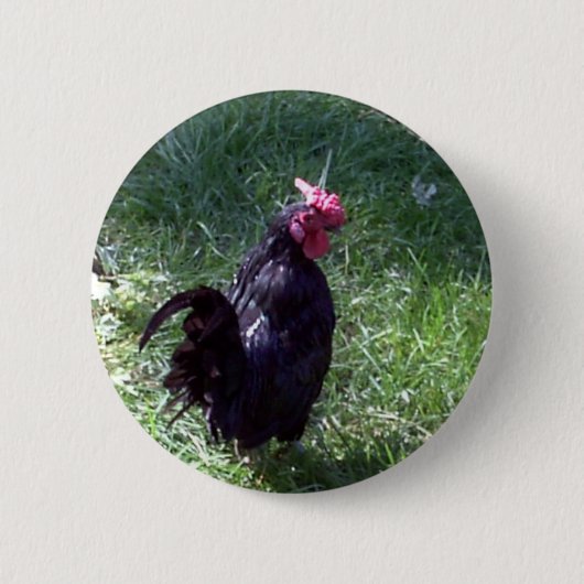 Zwarte vogel ronde button 5,7 cm (Voorkant)