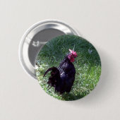 Zwarte vogel ronde button 5,7 cm (Voorkant /achterkant)