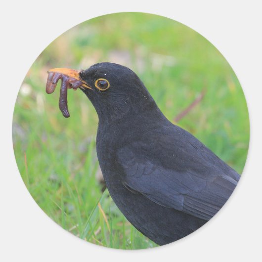 Zwarte vogel ronde sticker (Voorkant)