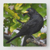 Zwarte vogel vierkante klok (Voorkant)