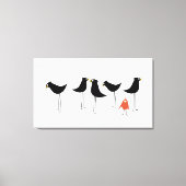 Zwarte-Vogelbezoeker, witte achtergrond Canvas Afdruk (Voorkant)