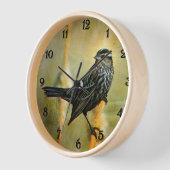 Zwarte-vogelklok met rode vleugel (Hoek)