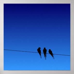 Zwarte vogels in silhouet op een draad poster