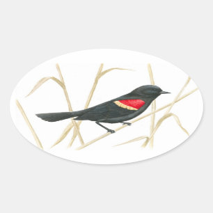 Zwarte-vogelsticker Ovale Sticker