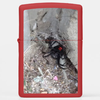 Zwarte weduwe op Red Zippo