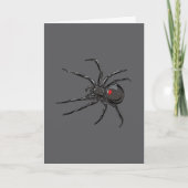 Zwarte Weduwe Spider Originele Tekenkunst Kaart (Voorkant)