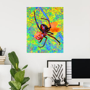 Zwarte Weduwe Spin Etend Poster