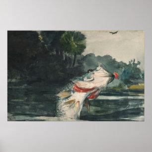 Zwarte winslow Homer Life Bass Poster