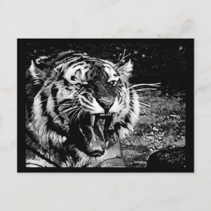 ZWARTE WIT FEROCIEUZE TIGER ROARING WILDE DIEREN C BRIEFKAART