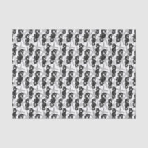 Zwarte witte bijtvis en zeehondenweefsel