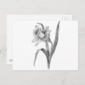 zwarte witte bloemen diffodil  briefkaart (Voorkant / Achterkant)