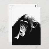 Zwarte witte chimpansee briefkaart (Voorkant / Achterkant)