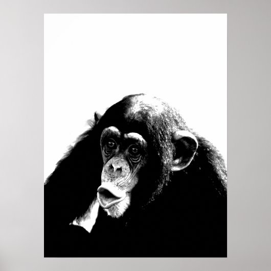 Zwarte witte chimpansee poster (Voorkant)