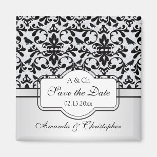 Zwarte witte Damaszwanen, vogels Bespaar de Datum Magneet