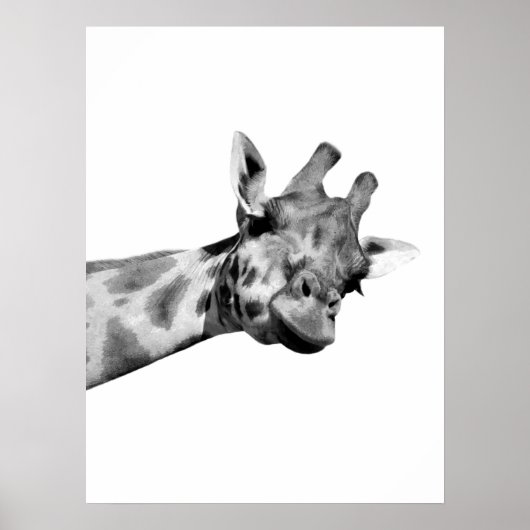 Zwarte witte giraffe afrikaans dier peekaboe foto poster (Voorkant)