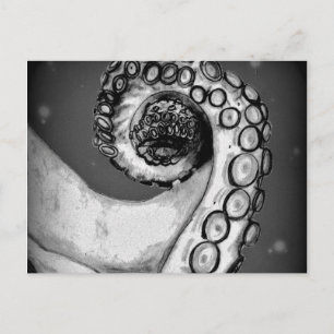  zwarte & witte inktvis briefkaart