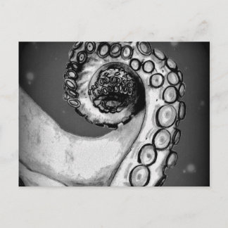  zwarte & witte inktvis briefkaart