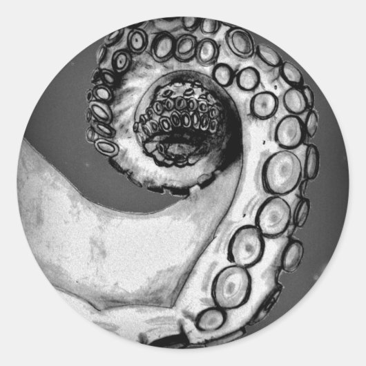  zwarte & witte inktvis ronde sticker (Voorkant)