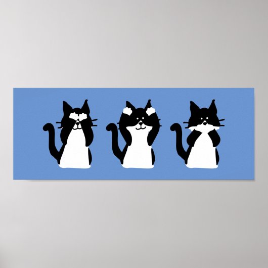 Zwarte witte katten | Drie Katten Poster (Voorkant)