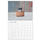 Zwarte & Witte katten & Kittens Kitty Cat 2021 Kalender (Jan 2026)