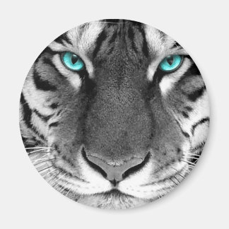 Zwarte witte tijger magneet