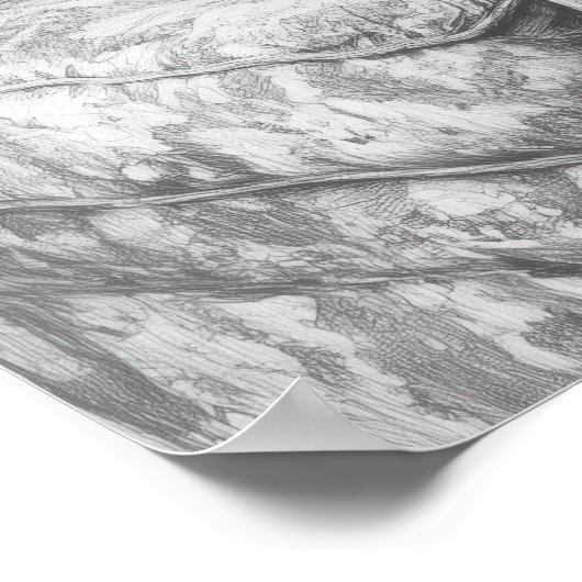 Zwarte witte uil op woonkamer stoel illustratie poster (Hoek)