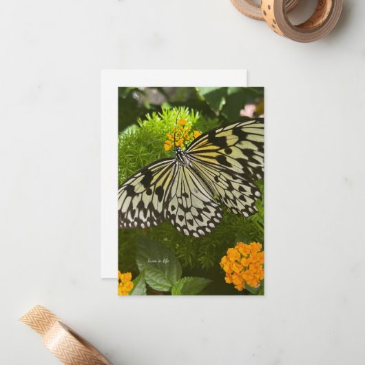 zwarte & witte vlinder notitiekaartje (Voorkant / Achterkant in situ)