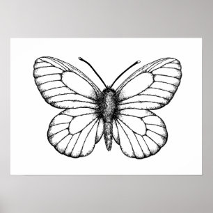 Zwarte witte vlinder poster