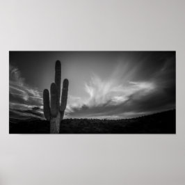 zwarte woestijn poster