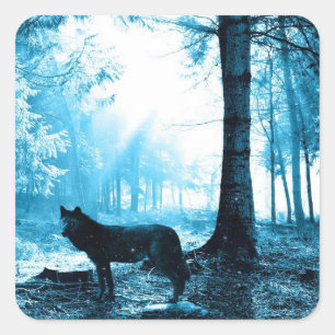 Zwarte Wolf Alone in het bos Vierkante Sticker