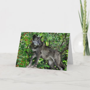 Zwarte Wolf met het Rode Wenskaart van Bessen Kaart