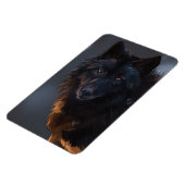 Zwarte Wolf, wolf, wild dier, dieren, grote wolf, Magneet (Linkerzijde)