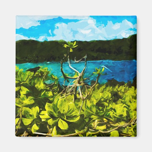 Zwarte zandstrand op weg naar Hana Maui Abstract Magneet (Voorkant)